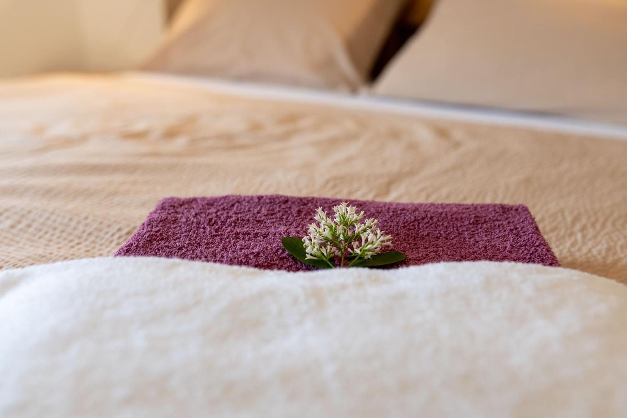 Papi Apartman Valtice Exteriér fotografie